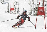 Hobbs knocked out of World Cup racing