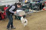Dogs showcase skills at Grant County Fairgrounds