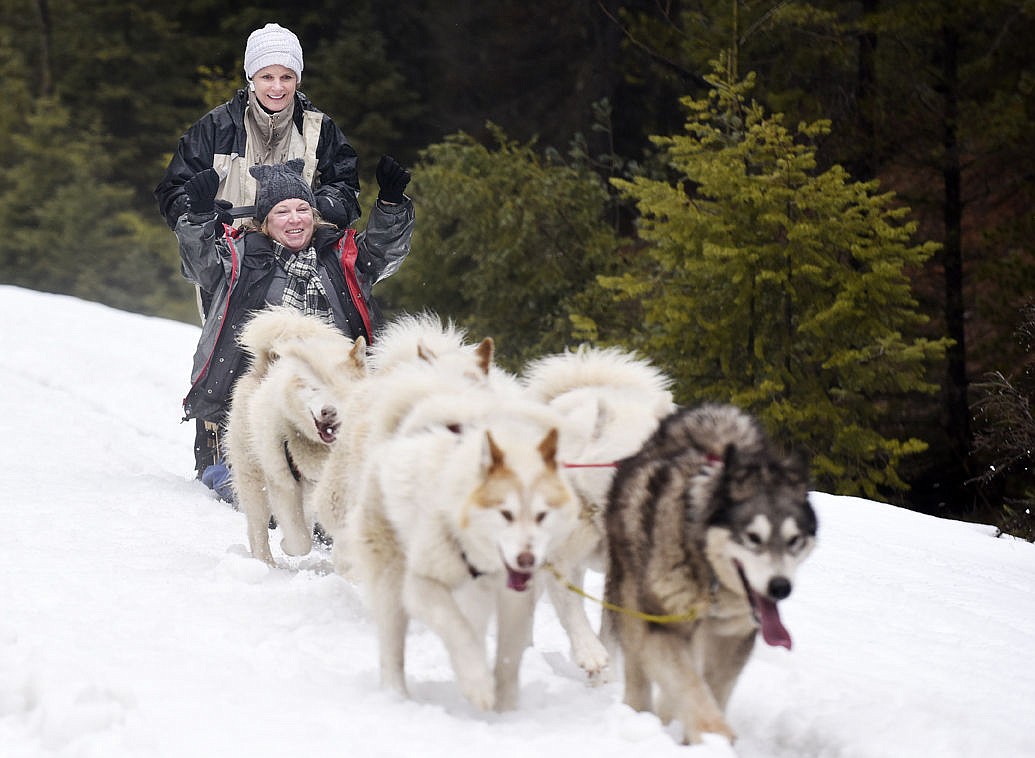 &lt;p&gt;Ali Gilmore raises her arms in the air as her sister Shannon Kahn mushes a team of Base Camp Bigfork's Inuit dogs in Swan Valley on Thursday. (Aaric Bryan/Daily Inter Lake)&lt;/p&gt;