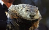 Groundhog's handler taking forecast blame