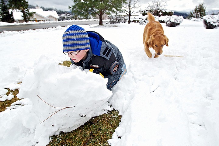 &lt;p&gt;JEROME A. POLLOS/Press Alex Troyer, 7, rolls a snowball Thursday as he creates more building materials for his front yard fort on Fernan Hill as his dog Bella follows close behind.&lt;/p&gt;