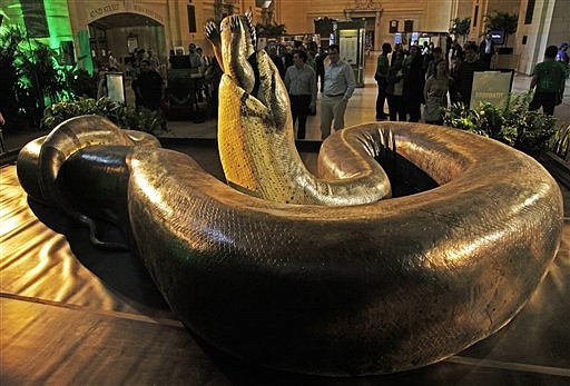 &lt;p&gt;A full-scale replica of the pre-historic snake &quot;Titanoboa&quot; swallowing a crocodile, is previewed on Friday, March 23, 2012, at Grand Central Station in New York, during a promotion for its exhibition at the Smithsonian&#146;s National Museum of Natural History in Washington, D.C., titled &#147;Titanoboa: Monster Snake.&#148; Titanoboa, discovered in 2005 in a open-pit coal mine in Colombia, was 48-feet long and weighed 2,500 pounds and lived more than 60 million years ago when dinosaurs no longer ruled the Earth. The traveling exhibit runs from March 30 through Jan. 6, 2013.(AP Photo/Bebeto Matthews)&lt;/p&gt;