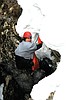 Cave dwellers