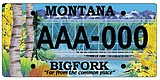 Bigfork's license plate the focus of awareness campaign