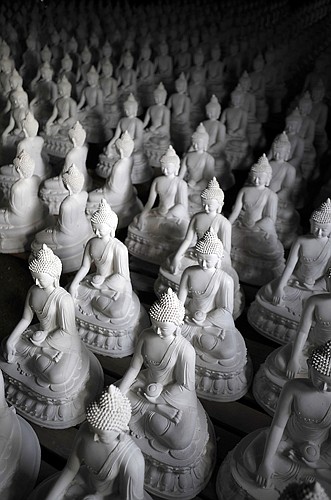 More than 430 Buddha statues have been completed at Ewam Montana in Arlee. Their goal is to have 1,000 finished and placed by the fall of 2011 for the opening of the garden. If all goes as planned His Holiness the 14th Dalai Lama will attend the dedication ceremony