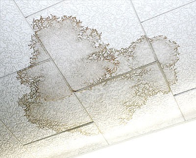 &lt;p&gt;Stains in ceiling of middle/high school.&lt;/p&gt;