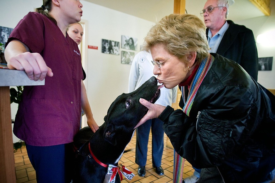 &lt;p&gt;&quot;He saved my dog's life,&quot; Anna Pearce said before showing her appreciation to Hughey, a 4-year-old Greyhound whose blood was given to Pearce's dog more than a year ago. Hughey's blood has been used in 13 emergency situations at Prairie Animal Hospital in Hayden since February 2006.&lt;/p&gt;