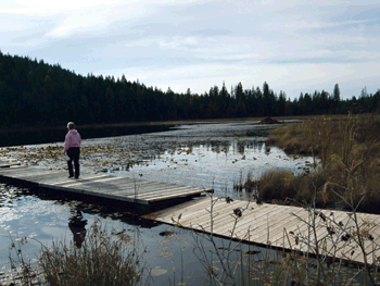 &lt;p&gt;A proposed conservation easement would protect more than 12,000 acres of pristine forest land in the Clagstone area. (Photo courtesy IDAHO CONSERVATION LEAGUE)&lt;/p&gt;