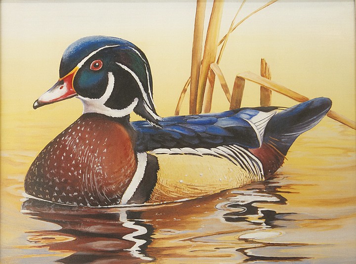 Annual duck stamp competition is a family affair Daily Inter Lake