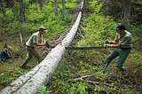 Flathead National Forest trails budget cut 10 percent; could get even worse
