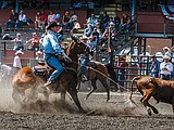 Cowboys Tell About Their Favorite Rodeos