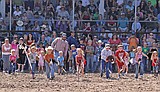 Friends give Ronan fairgrounds a facelift