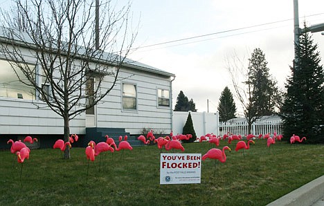 Post Falls Mayor Clay Larkin gets flocked