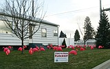Post Falls Mayor Clay Larkin gets flocked