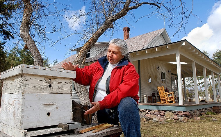Veronica Honthaas of Columbia Falls is an organic beekeeper, traditional herbalist, reflexologist, potter, and gardener to name just a few, supports &#147;regression,&#148; a movement among beekeepers to introduce feral bees&#146; genetics into their broods by collecting bees from the wild.