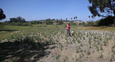 &lt;p&gt;Linda Krogrowiak walks her dog, Yogi, Thursday, in Bonsall, Calif., across what was the 18th green of the San Luis Rey Downs golf course that closed in 2014. The drought and the rising cost of water has contributed to the closing of numerous Southern California golf courses.&lt;/p&gt;