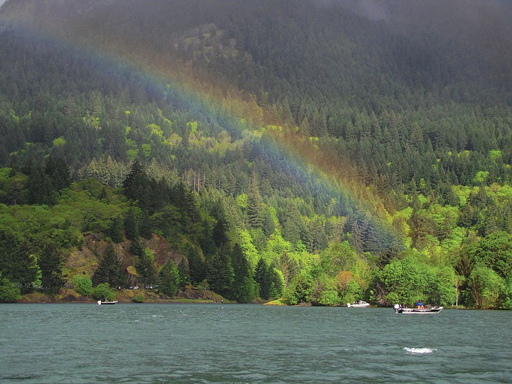 Pouring Rainbows - 1170
