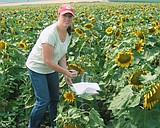 Planning starts with a few pins