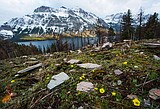 Glacier's Sun Road opens to Avalanche for hikers, bikers, only for now