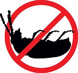 Homeowners Beware: Are Termites Feasting on Your Home?