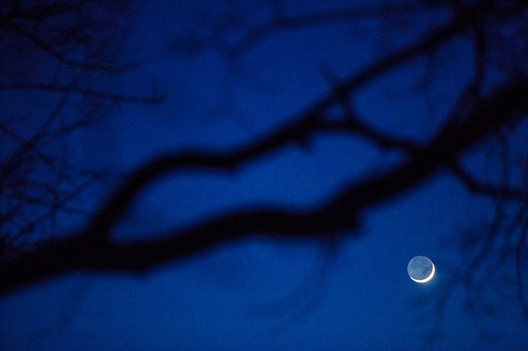 &lt;p&gt;A waxing crescent moon is seen through the trees Tuesday night from Kalispell.&lt;/p&gt;