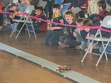 Pine derby