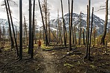 Jarvis releases rule changes for Park Service fundraising