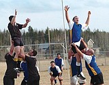 Reaching for the sky