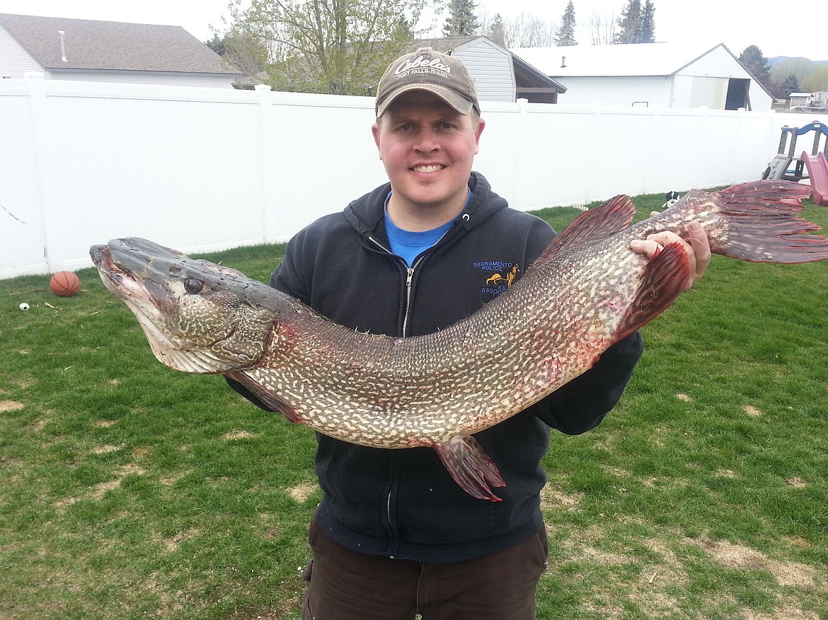 &lt;p&gt;Kurt Thomson holds a 26-pound, 46-inch northern pike he caught Sunday at Hayden Lake. Thomson said he used smelt for bait. His line suddenly &quot;went sideways and started screaming off.&quot; He said it took about 20 minutes to bring the big fish in.&lt;/p&gt;&lt;p&gt;Send your Outdoors Brag Board photos to Maureen Dolan, mdolan@cdapress.com&lt;/p&gt;