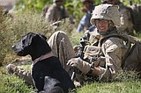 Animal Planet unleashing a new season of shows