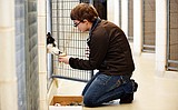 Kalispell baker shares 'pupcakes'