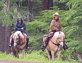 Glacier Park to renew trail ride contract