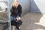 Local animal shelter, prisoners team up