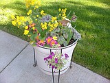 Thou shall not plant it if thou cannot spell it