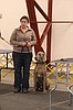 Dog show winners announced