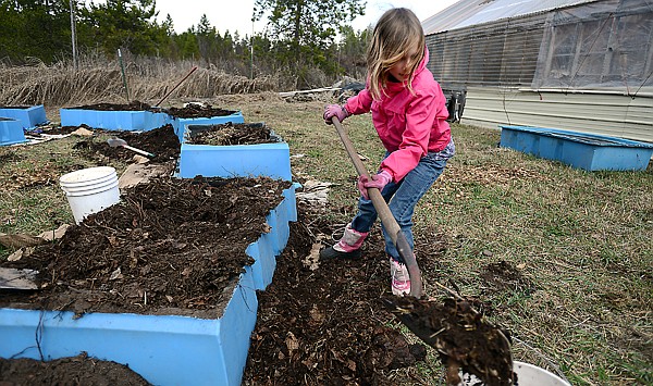 &lt;p&gt;Maya Weller, 8, of Kalispell, on Saturday, April 6, at Purple Frog Organic Farm in Whitefish. (Brenda Ahearn/Daily Inter Lake)&lt;/p&gt;