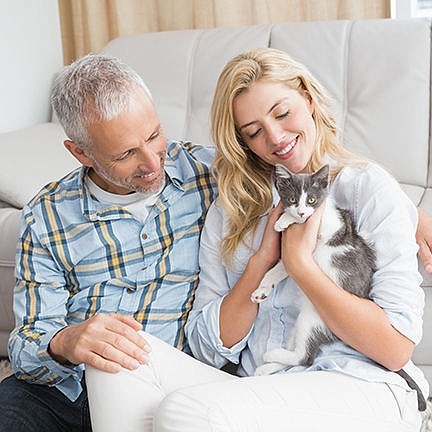 Felines and Fleas: A Dose of Prevention is Key