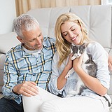 Felines and Fleas: A Dose of Prevention is Key