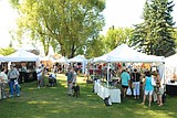 Summer series sparks concern about overuse of Depot Park