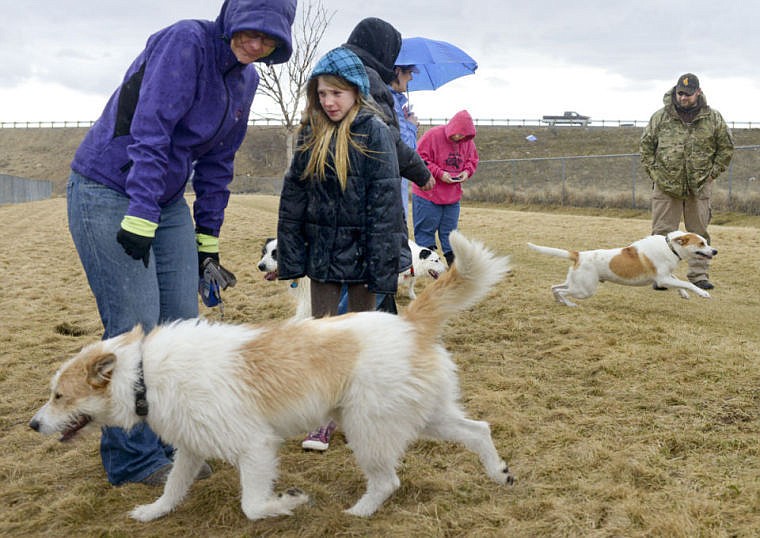 &lt;p&gt;Owners stand with their dogs, collectively known as the &#147;Dumpster puppies,&#148; during a reunion on March 29 at a dog park in Manhattan for the 10 puppies who had been abandoned in the trash in the winter of 2013.&lt;/p&gt;