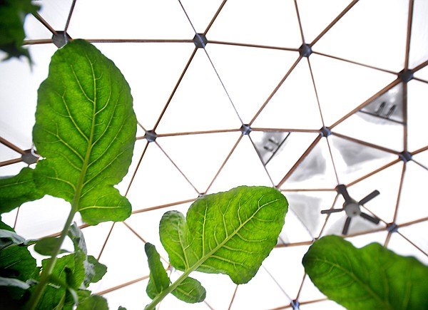 The dome of Renner's greenhouse is covered in a five-layer polycarbonate skin. At the center of the ceiling is a fan and four vents which help regulate the temperature.