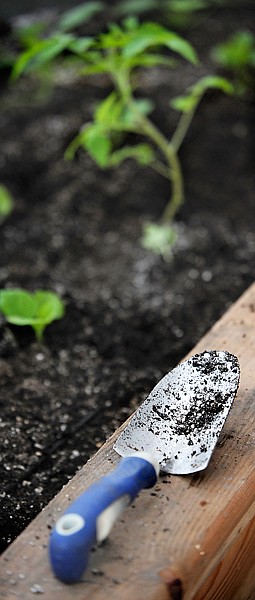 A spade sits along the sill of one of the raised plots inside the Peaceful Garden dome on Wednesday near Swan Lake.