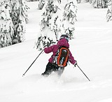 Flower Point chairlift work to begin this summer