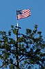 Fourth of July Pass flag returns, tree damaged