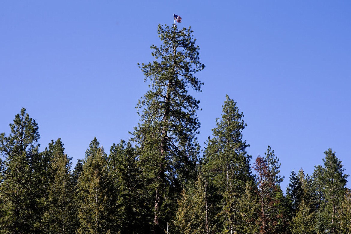 &lt;p&gt;A ponderosa pine alongside Interstate 90 near mile post 27 is adorned with an American flag. As of now, it is unknown who climbed the tree and placed the flag, complete with solar-powered lights, there.&lt;/p&gt;