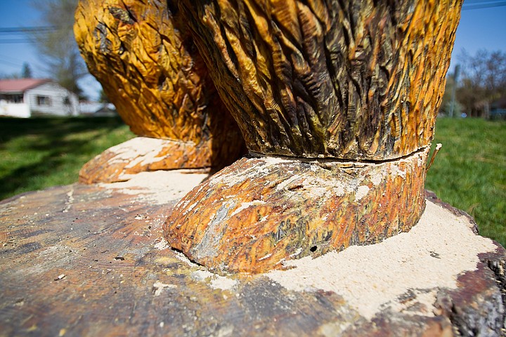 &lt;p&gt;Vandals recently used a saw to cut most of the way through the ankles of a wooden bear sculpture in Coeur d'Alene.&lt;/p&gt;