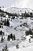 Details of fatal avalanche released