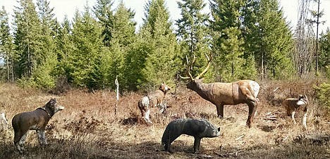 &lt;p&gt;Foam core targets are positioned and waiting for archers to take aim at them during the Coeur d'Alene Bowmen's 3-D archery tournament held April 11 and 12.&lt;/p&gt;