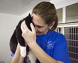 Veterinarians at Flathead County Animal shelter invested in animal care