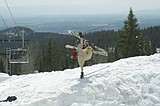 Hotels, resort see fewer ski-season visitors